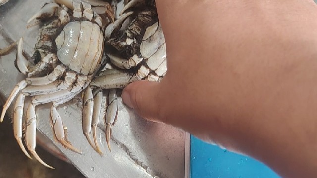 有一两吗，说一下就封