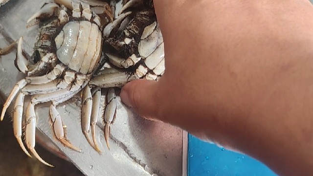 我发布了一个新视频，快来围观吧！