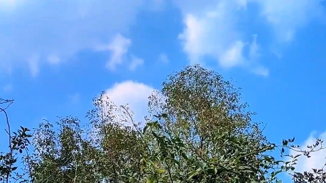 人生相遇即是缘