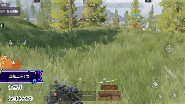 公主殿下和她的随从们