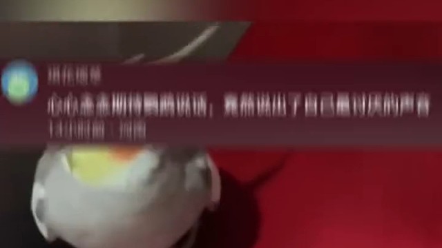 主人闹钟响后继续睡 谁想鹦鹉复制铃声循环