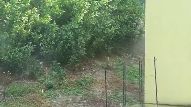 人里人气的[二哈]