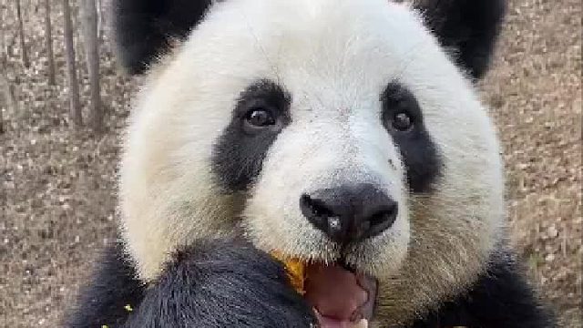 杜绝浪费，光盘行动