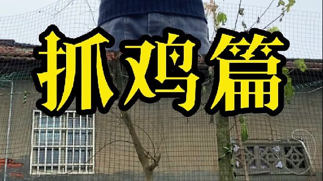 叫你捉鸡偏逮鹅，叫你上坡偏下河！