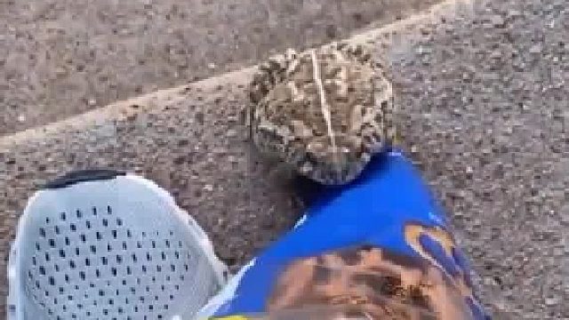 “谁这么没礼貌挤我玩儿？”