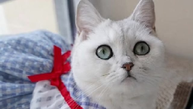 生气的副作用可能会迟到，但永远不会缺席