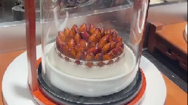 救命，这个菜在干嘛#这是什么菜