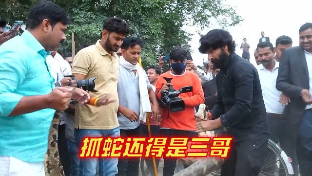 三哥徒手抓大蟒蛇