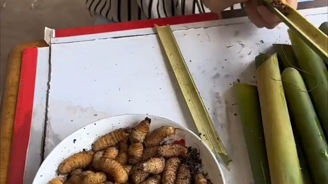 阁下吃过虫虫吗