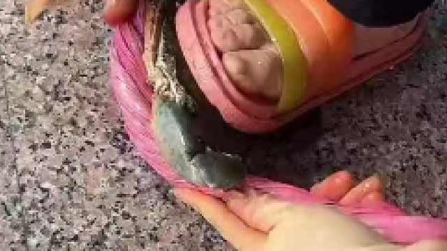 螃蟹：我何德何能