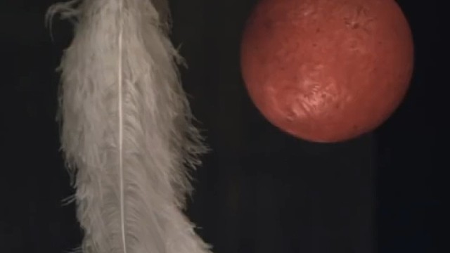 真空环境下羽毛和铁球哪个先落地？验证了多年前伽利略在比萨斜塔上做的“铁球落地”实验。