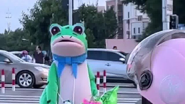 这个青蛙玩偶有种莫名的喜感