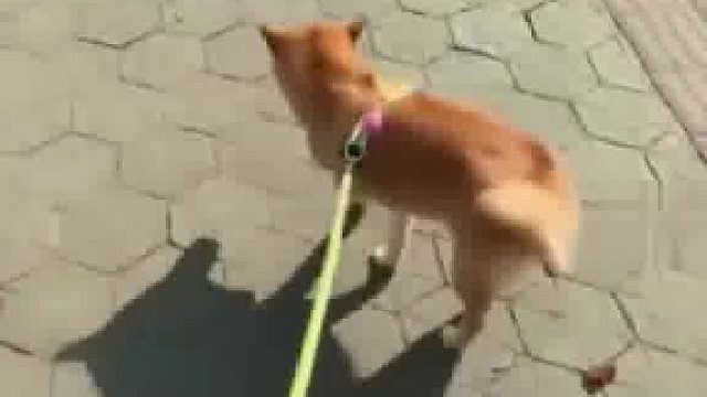 最后差点撞到水泥柱