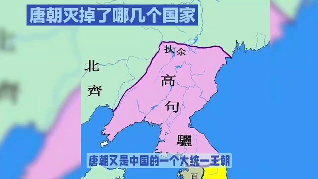 唐朝灭掉了几个国家