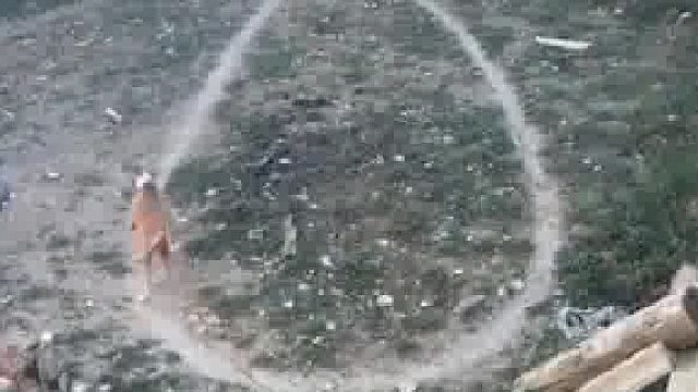 狗子每天按照固定路线散步，草地都被踩出了痕迹，“它这是想吃鸡腿了 都画出来了”