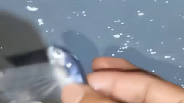 你最终给了他最后一击