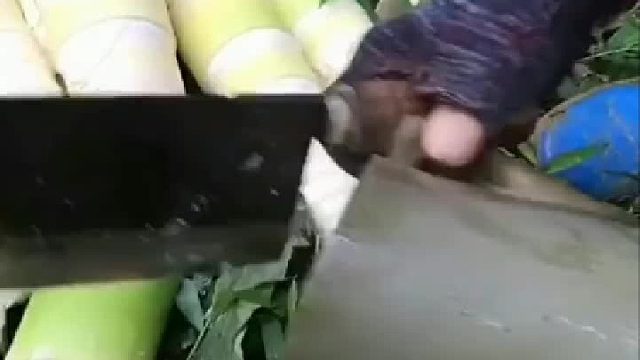 熊猫：手里的竹笋瞬间不香了。