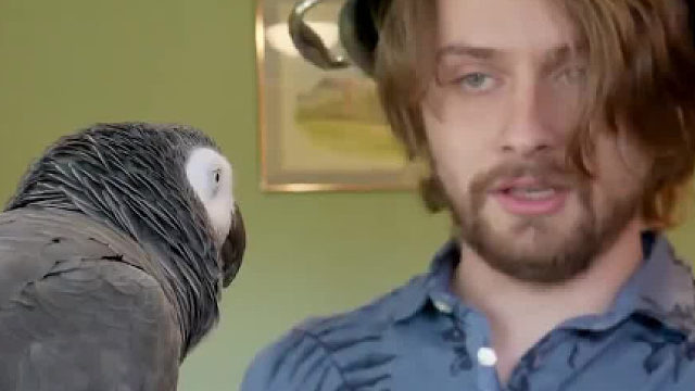 这鹦鹉是要逆天了…