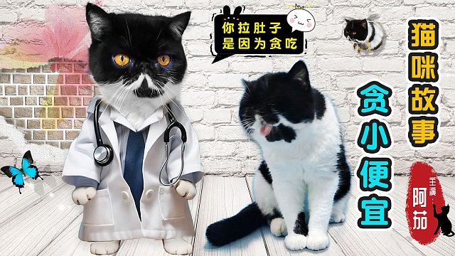 猫咪因为贪小便宜，结果吃尽了苦头