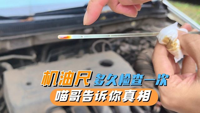 汽车机油尺应该多久检查一次？别纠结了，喵哥告诉你真相