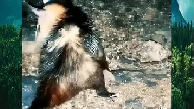 吃人家没吃上！让人家给吃了