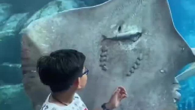 干一天活了，就吃这一条鱼