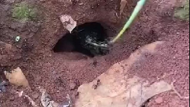 蚂蚁：就是你小子拿我们去钓小龙虾