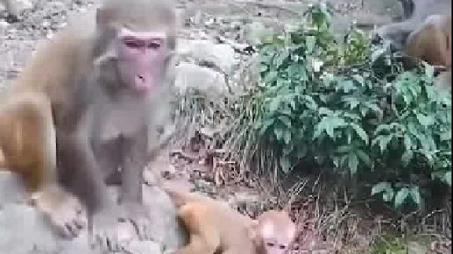 谁打我儿子，我就揍他儿子。