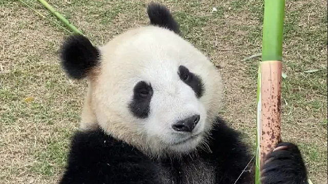 这样的生活你羡慕了吗？