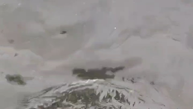 有谁踩着下水道的水出门的