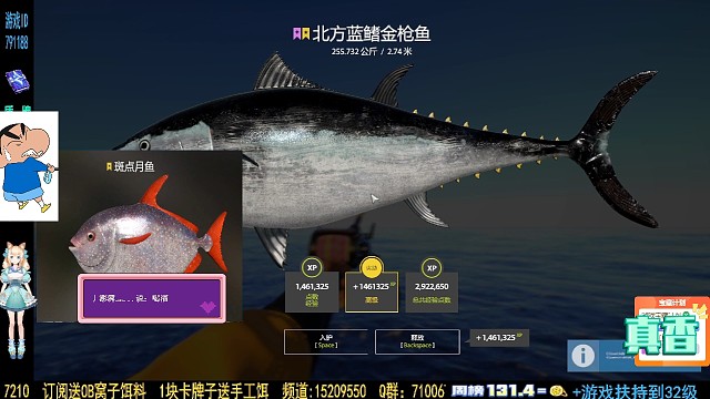 金枪星 哈哈哈哈哈