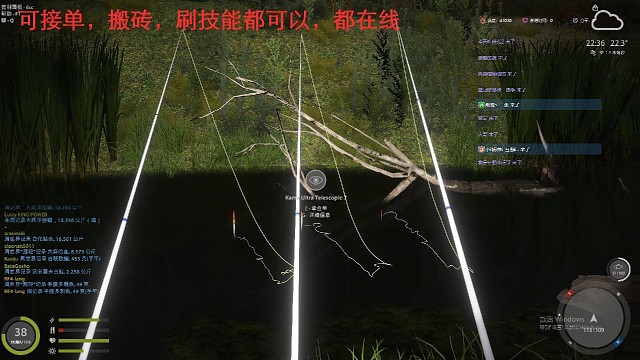 平腹多刺鱼上星