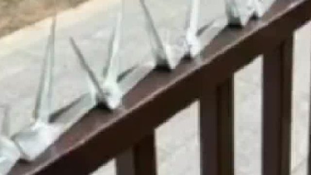 业主吐槽物业在护栏装刀片防盗，只有一米高孩子在一旁玩很危险。这事你怎么看？