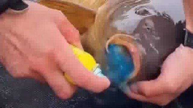 放生前一定要做好消毒工作