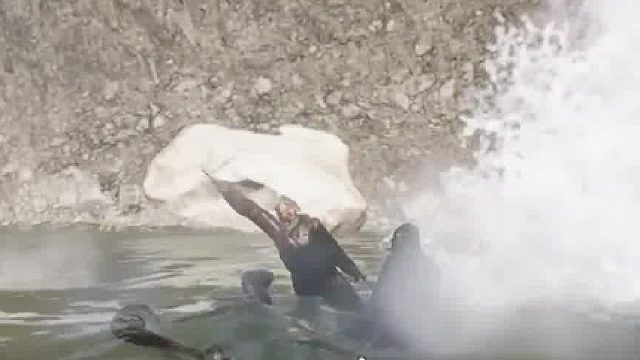 你这背景太假了 你这背景太假了