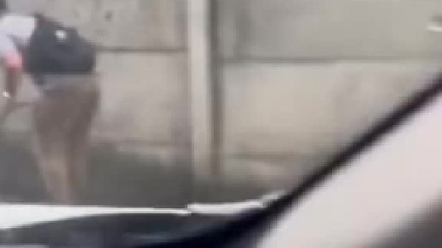 现在流行遛这个