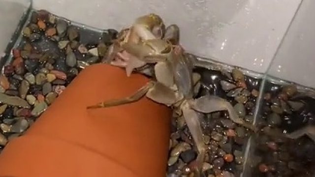 有小钱，还是搞不过有大钱的啊