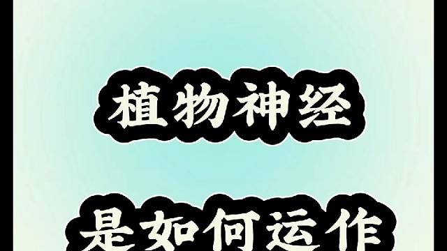 植物神经如何运作