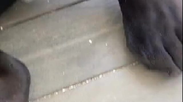 看面相不想本地的