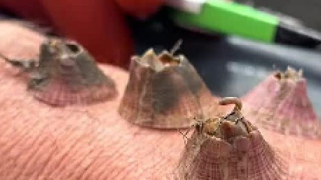 多亏得自己手压这，不然碰一下就掉