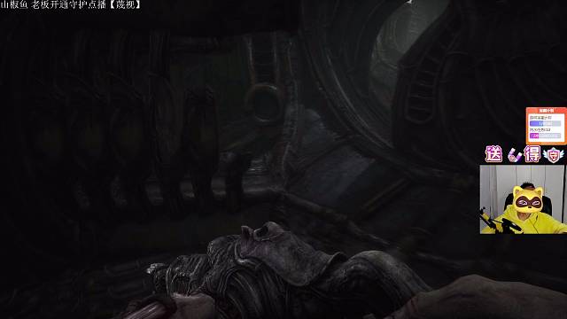 感谢 聆听老板抽的守护呐，芜湖起飞，V2守护，越来越帅气啦