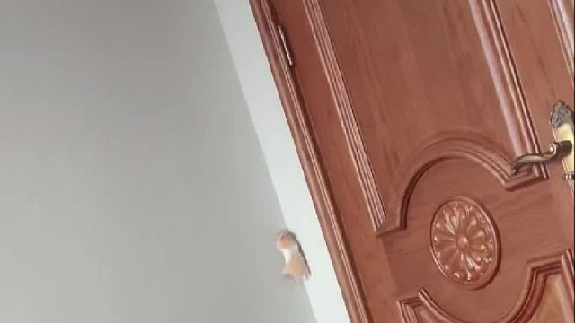 家里是少你吃还是缺你穿了？这么拼命？