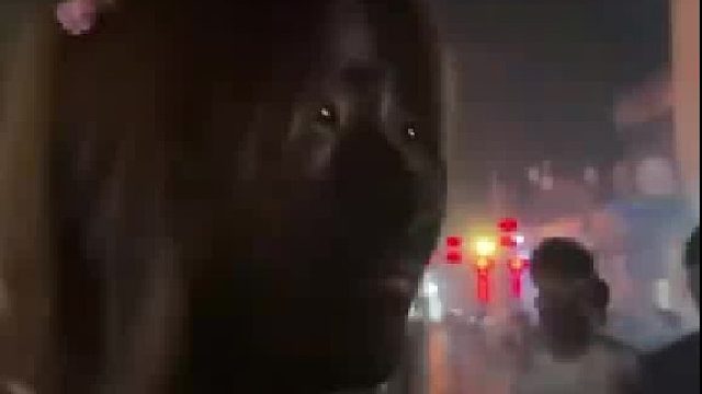 四川女孩在云南体验火把节...