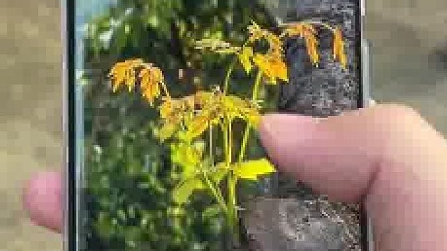 我们不是不可能