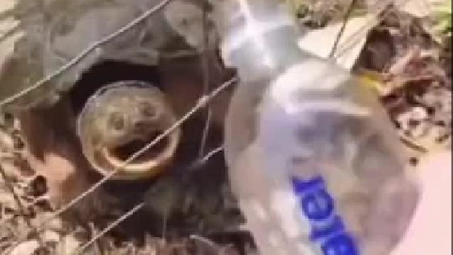 喝的什么水，进化这么快？