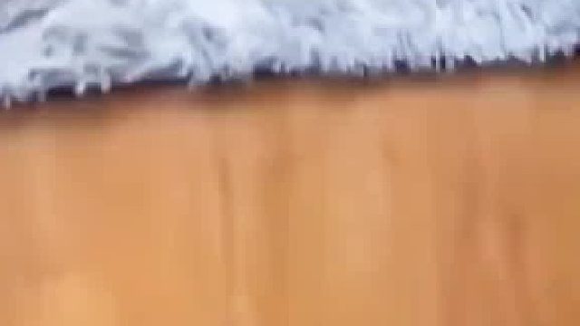 男子听吵架准备凑热闹，在阳台遇到自家狗子