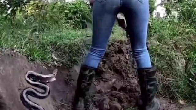 实在不知道用什么文案来形容了，请网友们下方留言自由发挥！