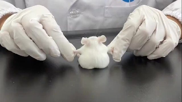 算了 你肯定觉得没意思