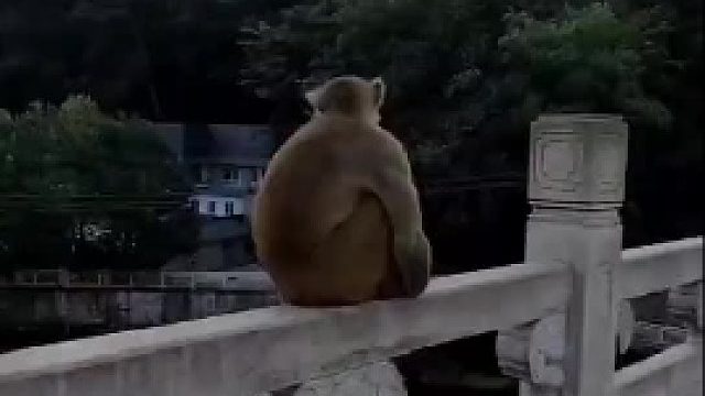 同类的早就踢你下去了