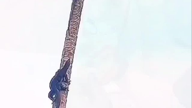 为了一口吃的都现这么拼了。